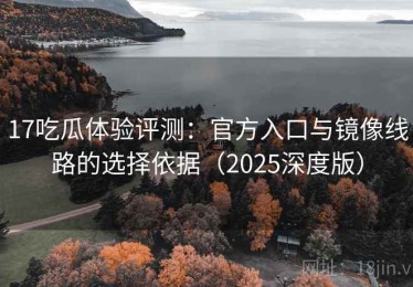 17吃瓜体验评测：官方入口与镜像线路的选择依据（2025深度版）
