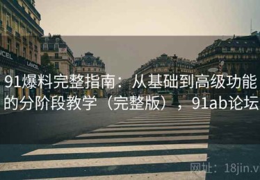 91爆料完整指南：从基础到高级功能的分阶段教学（完整版），91ab论坛