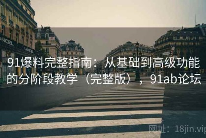 91爆料完整指南：从基础到高级功能的分阶段教学（完整版），91ab论坛
