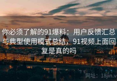 你必须了解的91爆料：用户反馈汇总与典型使用模式总结，91视频上面回复是真的吗
