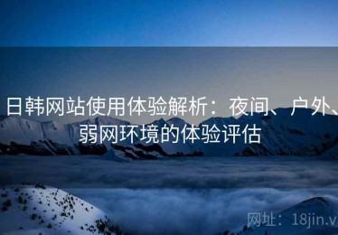 日韩网站使用体验解析：夜间、户外、弱网环境的体验评估