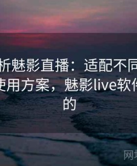 全面剖析魅影直播：适配不同人群的个性化使用方案，魅影live软件是干嘛的