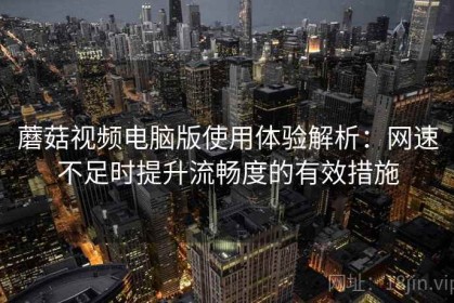 蘑菇视频电脑版使用体验解析：网速不足时提升流畅度的有效措施