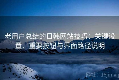 老用户总结的日韩网站技巧：关键设置、重要按钮与界面路径说明