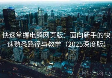 快速掌握电鸽网页版：面向新手的快速熟悉路径与教学（2025深度版）