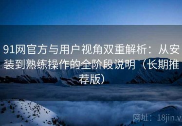 91网官方与用户视角双重解析：从安装到熟练操作的全阶段说明（长期推荐版）