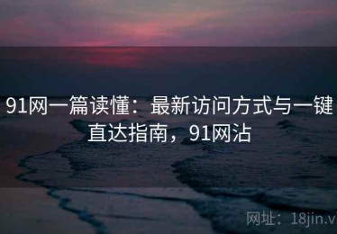 91网一篇读懂：最新访问方式与一键直达指南，91网沾