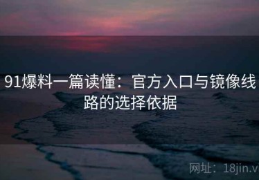 91爆料一篇读懂：官方入口与镜像线路的选择依据