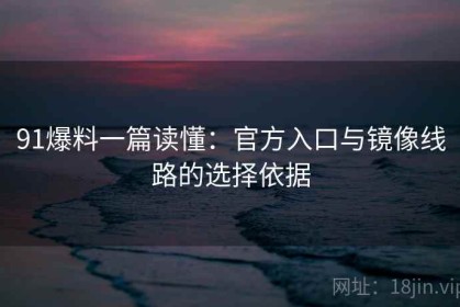 91爆料一篇读懂：官方入口与镜像线路的选择依据