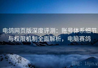 电鸽网页版深度评测：账号体系细节与权限机制全面解析，电脑赛鸽