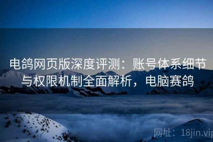 电鸽网页版深度评测：账号体系细节与权限机制全面解析，电脑赛鸽