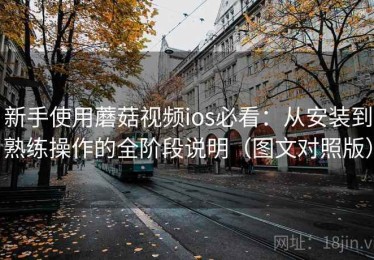 新手使用蘑菇视频ios必看：从安装到熟练操作的全阶段说明（图文对照版）