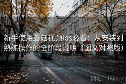 新手使用蘑菇视频ios必看：从安装到熟练操作的全阶段说明（图文对照版）