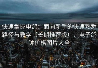 快速掌握电鸽：面向新手的快速熟悉路径与教学（长期推荐版），电子鸽钟价格图片大全