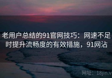 老用户总结的91官网技巧：网速不足时提升流畅度的有效措施，91网沾