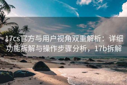 17cs官方与用户视角双重解析：详细功能拆解与操作步骤分析，17b拆解