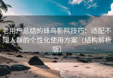 老用户总结的蜂鸟影院技巧：适配不同人群的个性化使用方案（结构解析版）