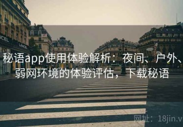 秘语app使用体验解析：夜间、户外、弱网环境的体验评估，下载秘语