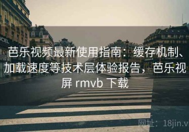 芭乐视频最新使用指南：缓存机制、加载速度等技术层体验报告，芭乐视屏 rmvb 下载
