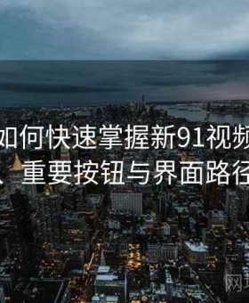 新用户如何快速掌握新91视频：关键设置、重要按钮与界面路径说明