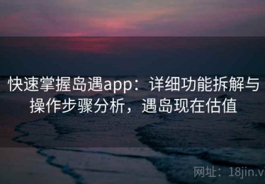 快速掌握岛遇app：详细功能拆解与操作步骤分析，遇岛现在估值