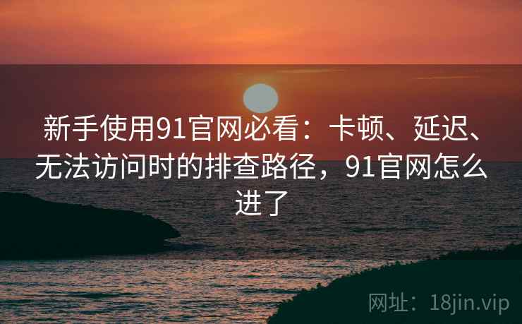 新手使用91官网必看:卡顿、延迟、无法访问时的排查路径,91官网怎么进了 新手使用91官网必看:卡顿、延迟、无法访问时的排查路径,91官网怎么进了