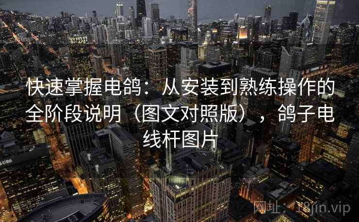 快速掌握电鸽：从安装到熟练操作的全阶段说明（图文对照版），鸽子电线杆图片