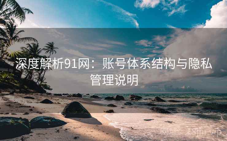 深度解析91网：账号体系结构与隐私管理说明