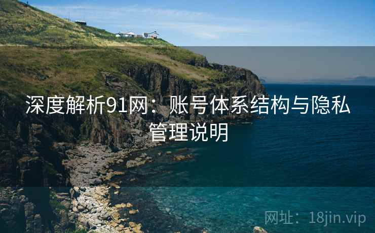 深度解析91网：账号体系结构与隐私管理说明