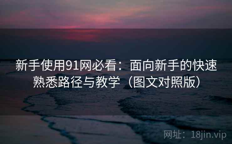 新手使用91网必看：面向新手的快速熟悉路径与教学（图文对照版）