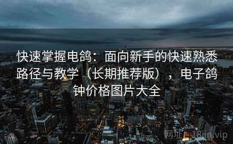 快速掌握电鸽：面向新手的快速熟悉路径与教学（长期推荐版），电子鸽钟价格图片大全