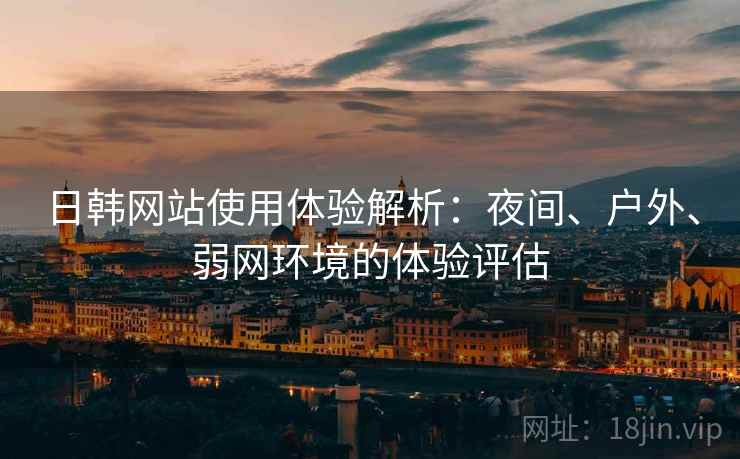 日韩网站使用体验解析：夜间、户外、弱网环境的体验评估