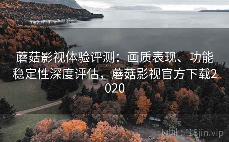 蘑菇影视体验评测：画质表现、功能稳定性深度评估，蘑菇影视官方下载2020