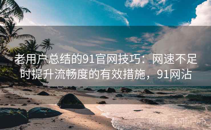 老用户总结的91官网技巧:网速不足时提升流畅度的有效措施,91网沾 老用户总结的91官网技巧:网速不足时提升流畅度的有效措施,91网沾