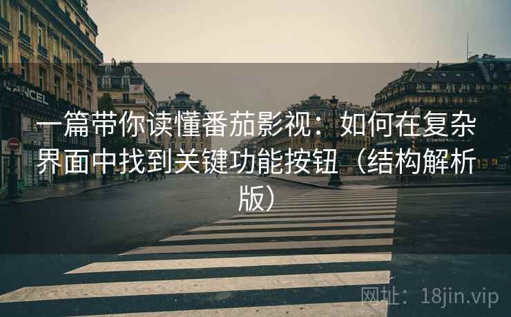 一篇带你读懂番茄影视：如何在复杂界面中找到关键功能按钮（结构解析版）