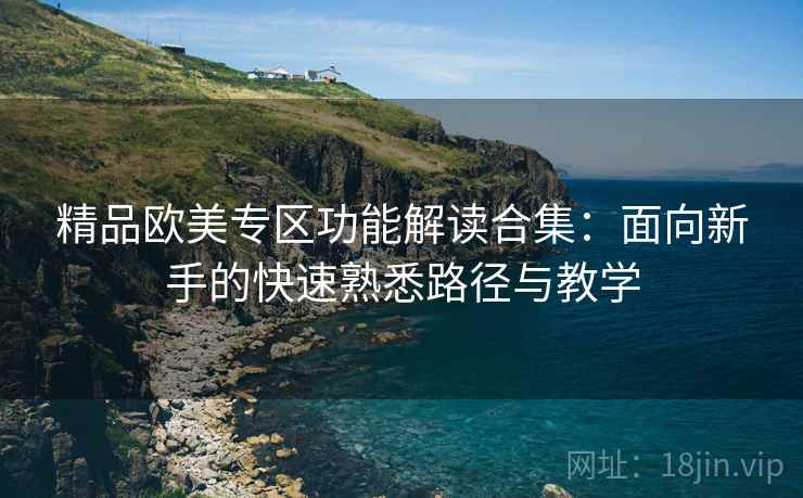 精品欧美专区功能解读合集:面向新手的快速熟悉路径与教学 精品欧美专区功能解读合集:面向新手的快速熟悉路径与教学