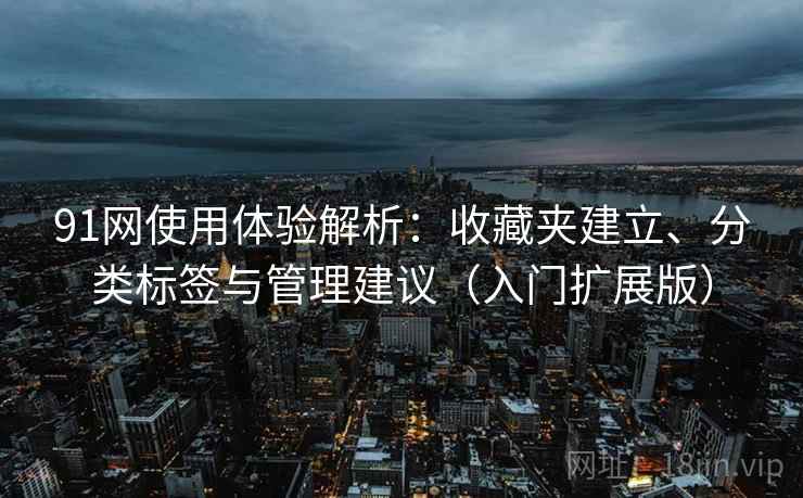 91网使用体验解析：收藏夹建立、分类标签与管理建议（入门扩展版）