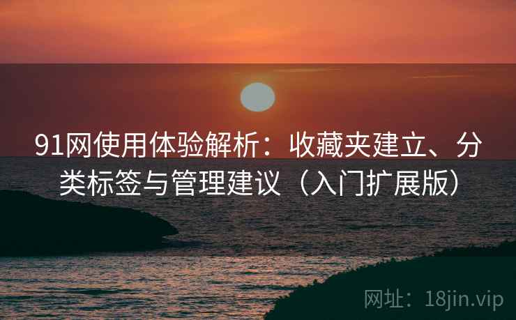 91网使用体验解析：收藏夹建立、分类标签与管理建议（入门扩展版）