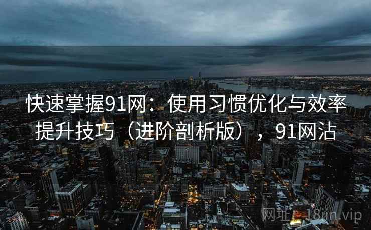 快速掌握91网：使用习惯优化与效率提升技巧（进阶剖析版），91网沾