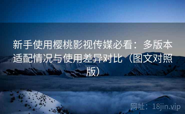 新手使用樱桃影视传媒必看:多版本适配情况与使用差异对比(图文对照版) 新手使用樱桃影视传媒必看:多版本适配情况与使用差异对比(图文对照版)