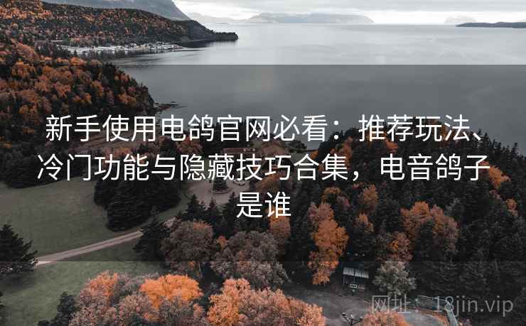 新手使用电鸽官网必看:推荐玩法、冷门功能与隐藏技巧合集,电音鸽子是谁 新手使用电鸽官网必看:推荐玩法、冷门功能与隐藏技巧合集,电音鸽子是谁