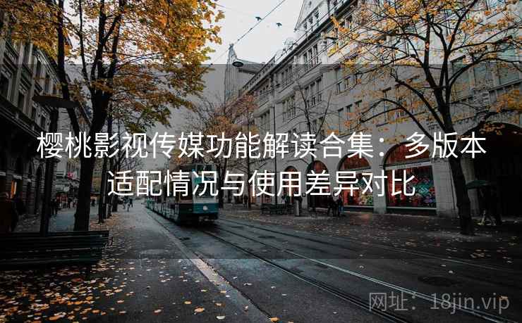 樱桃影视传媒功能解读合集:多版本适配情况与使用差异对比 樱桃影视传媒功能解读合集:多版本适配情况与使用差异对比