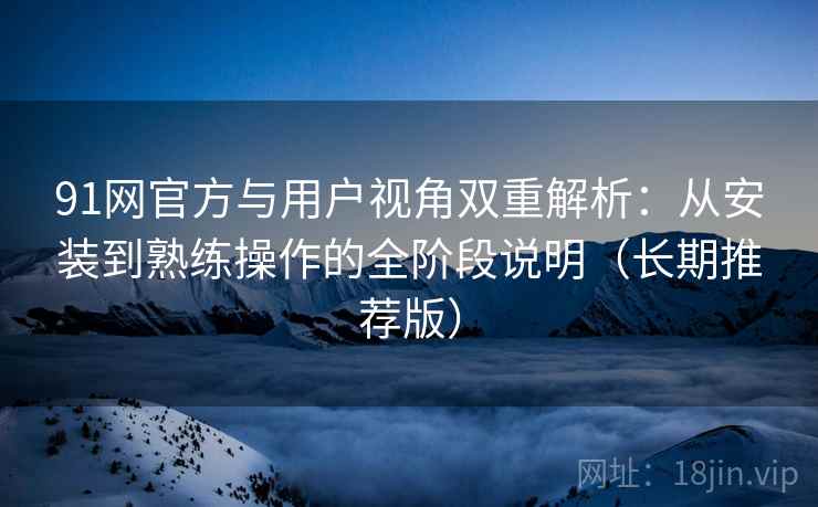 91网官方与用户视角双重解析：从安装到熟练操作的全阶段说明（长期推荐版）