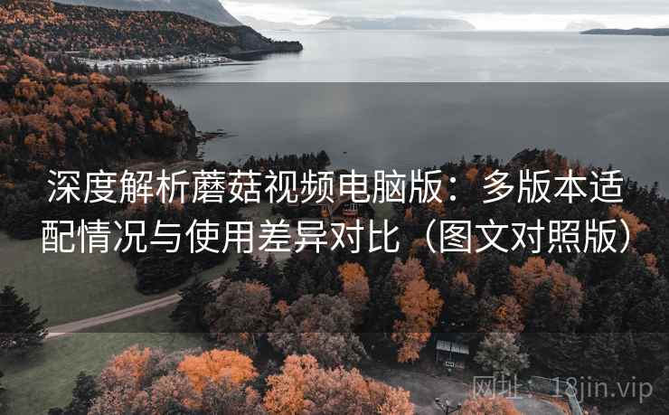 深度解析蘑菇视频电脑版：多版本适配情况与使用差异对比（图文对照版）