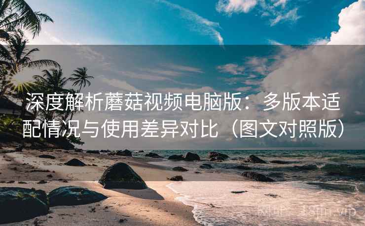 深度解析蘑菇视频电脑版：多版本适配情况与使用差异对比（图文对照版）