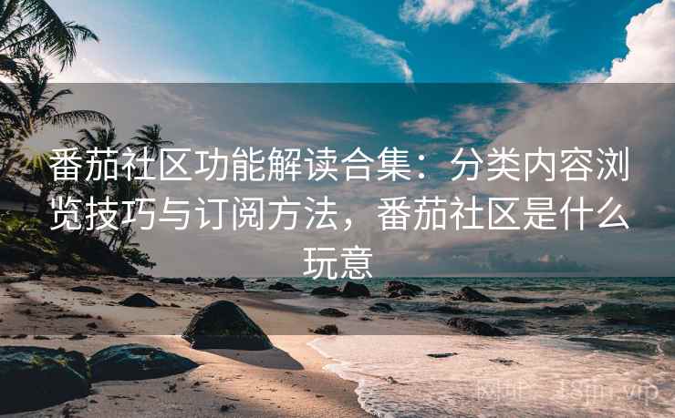 番茄社区功能解读合集：分类内容浏览技巧与订阅方法，番茄社区是什么玩意